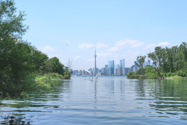istock City view of the Toronto 1300255614