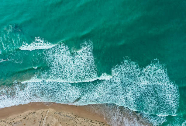 istock Sea coastline with big waves, above view, beach  background. Ocean surface seashore, seaweed on the water. 1300256608
