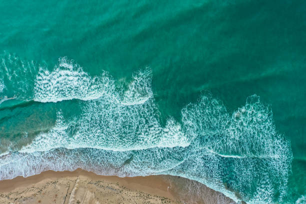istock Sea coastline with big waves, above view, beach  background. Ocean surface seashore, seaweed on the water. 1300256639