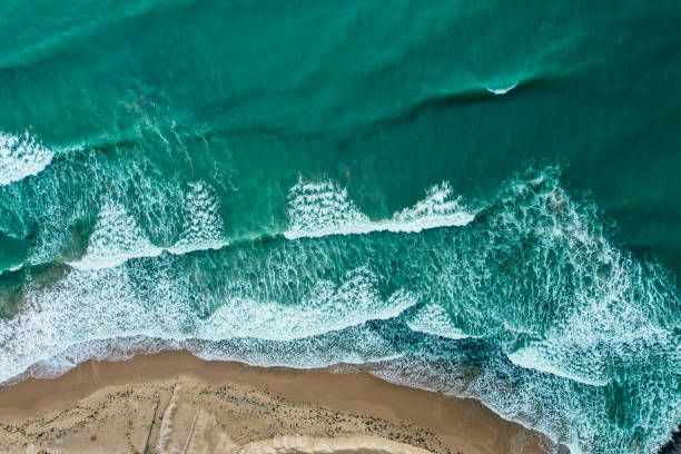 istock Sea coastline with big waves, above view, beach  background. Ocean surface seashore, seaweed on the water. 1300256642