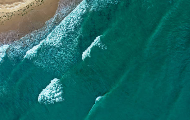 istock Sea coastline with big waves, above view, beach  background. Ocean surface seashore, seaweed on the water. 1300256653