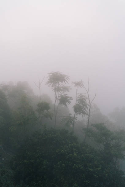 istock Rainy scenes in the city 1300257630
