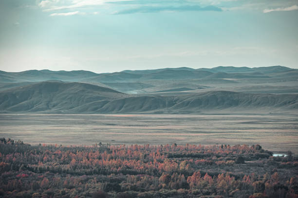 Fall Genhe wetlands at Genhe in Inner mongolia, northernChina