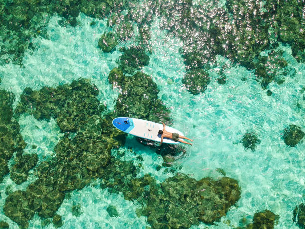 A man was doing paddle-board surfing on the surface of the water at Koh Lipe, Thailand. stock photo
