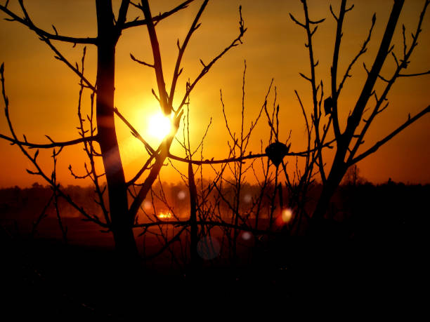 istock Breathtaking evening in the forest near river . spring bare trees and sunset sun over water. Countryside landscape 1300264758