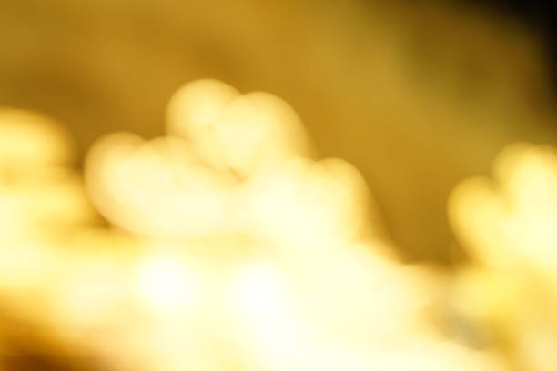 istock Night view of Vienna 1300265966