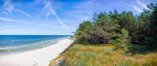 istock Vacations in Poland - Baltic seashore in Pogorzelica 1300273018
