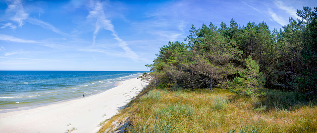 The Fire Island Lighthouse with very dry beach grass and brush in the foreground due to server drought conditions during the summer of 2022.
