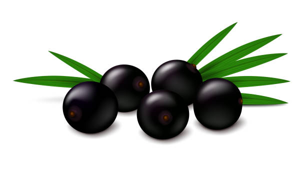 istock Acai berries with palm leaves isolated on white background 1300275265