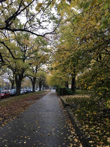 istock footpath in the park Melbourne Urban design 1300275482