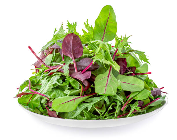 salad leaves on a plate  isolated on white background. mix fresh leaves of arugula, lettuce, frisee, radicchio and  spinach leaf for salad"n - lettuce endive abstract leaf imagens e fotografias de stock