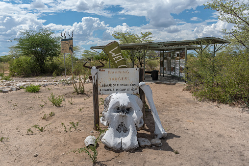 khaudum national park, namibia-december 12, 2018: faded elephant skull at the reception of Khaudum National Park, Namibia