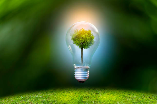 istock Renewable energy concept Earth Day or environment protection Hands protect forests that grow on the ground and help save the world. 1300284245
