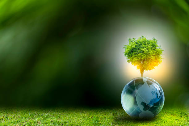 istock Renewable energy concept Earth Day or environment protection Hands protect forests that grow on the ground and help save the world. 1300284246