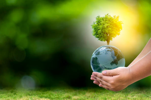 istock Renewable energy concept Earth Day or environment protection Hands protect forests that grow on the ground and help save the world. 1300284247