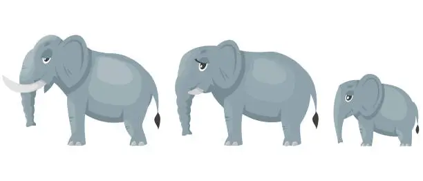 Vector illustration of Elephant family side view.