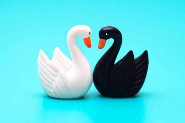 istock Black and white toy swans on a blue background 1300289805