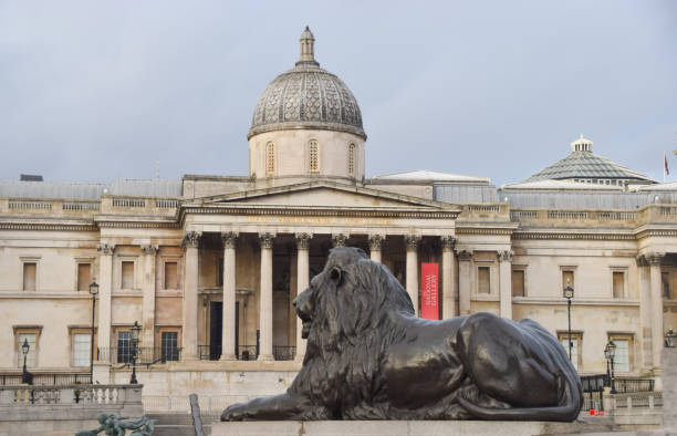 The National Gallery and lion statue, Trafalgar Square, London London, United Kingdom - February 2 2021: Daytime view of a lion statue and The National Gallery at Trafalgar Square. british museum stock pictures, royalty-free photos & images