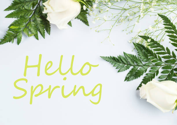 istock Floral arrangement frame with white roses and fern. Hello spring 1300292395