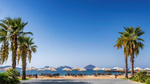 istock Palm trees on tropical beach in Mediterranean sea 1300293593