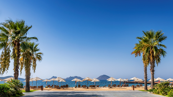 Panoramic view of tropical beach with umbrellas and sunbeds on beautiful beach with palm trees and islands on horizon in Mediterranean sea, Bodrum, Turkey