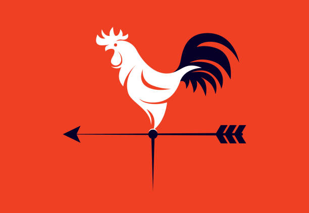 ilustrações de stock, clip art, desenhos animados e ícones de wind vane rooster symbol - chicken silhouette animal rooster