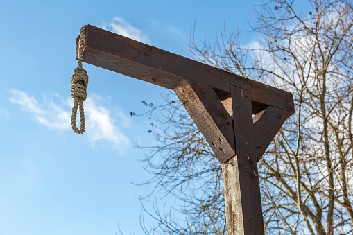 Rope noose on a wooden gallows on a background of branches and blue sky