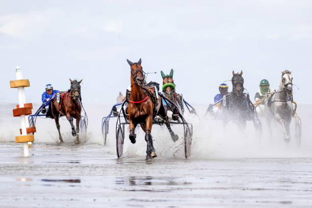 equestrian at the horse race in the mud flat at duhner wattrennen in germany - mud run imagens e fotografias de stock