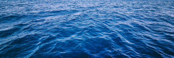 istock Blue deep sea ocean water in calm, banner format 1300301055