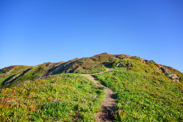 istock Path over green hills against the blue sky, beautiful bright spring summer landscape 1300302105