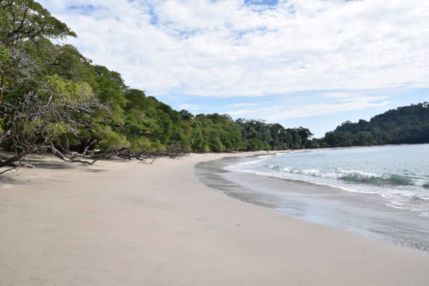 istock Costa Rica: the beach in Manual Antonio National Park 1300305083