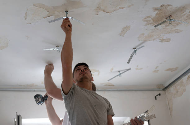 istock Construction worker assemble a suspended ceiling with drywall an. D fixing the drywall to the ceiling metal frame with screwdriver 1300305091