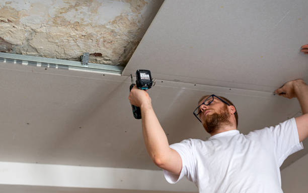 istock Construction worker assemble a suspended ceiling with drywall an. D fixing the drywall to the ceiling metal frame with screwdriver 1300305109