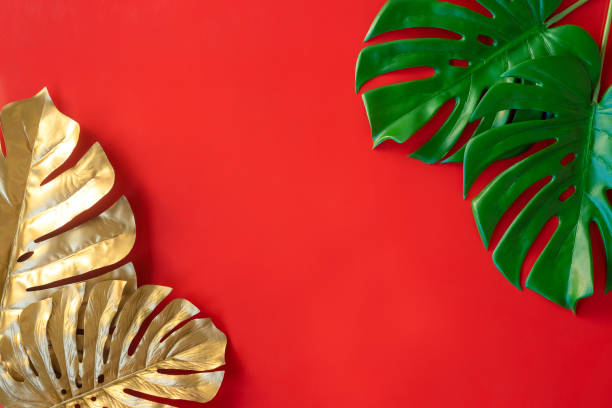 istock Gold leaves plant tropical monstera and palm pattern frame on a red background. 1300306905