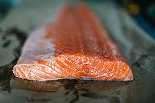 Fresh salmon fillets