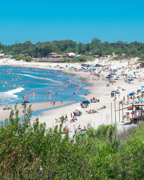 istock Costa Azul Beach Aerial, Canelones, Uruguay 1300312076