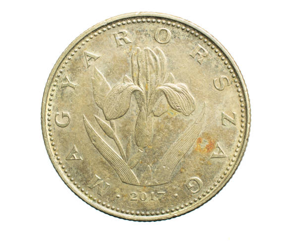 istock twenty Hungarian forint coin isolated on white background 1300321310