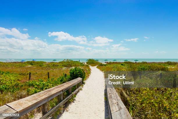 Way With Wooden Fence To The Beach Through Green Stuff Stock Photo - Download Image Now