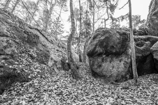 Ancient weathered megalithic granite rock formation with cave and breakthrough in Bavarian forest near Thurmansbang, Germany