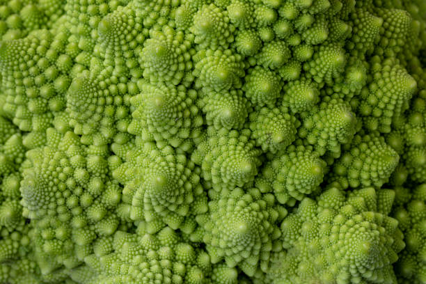 cavolo romanico (broccoli romanici). cibo vegetariano. stile di vita sano - romanesque broccoli cauliflower cabbage foto e immagini stock