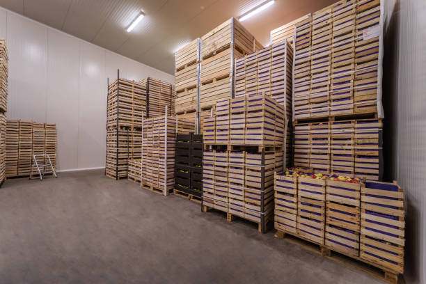 istock Apples and pears in crates ready for shipping. Cold storage interior. 1300327545