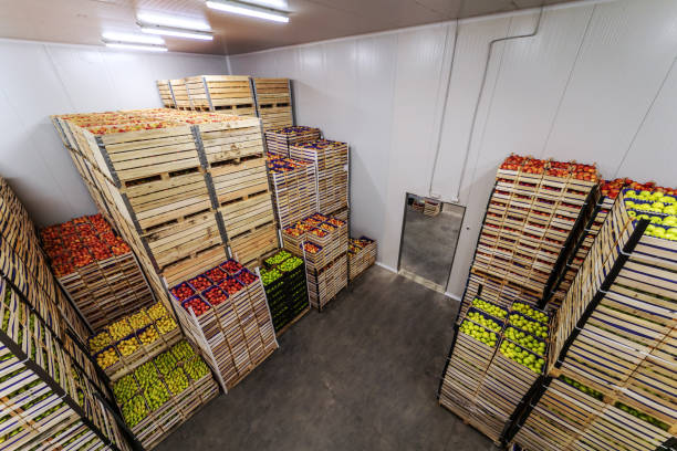 istock Apples and pears in crates ready for shipping. Cold storage interior. 1300328339