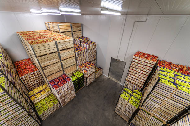 istock Apples and pears in crates ready for shipping. Cold storage interior. 1300328376