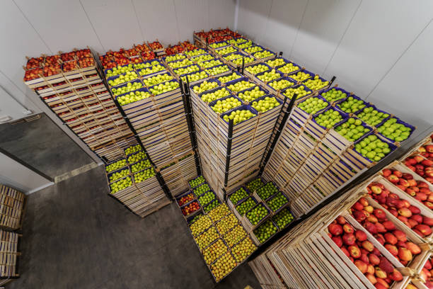 istock Apples and pears in crates ready for shipping. Cold storage interior. 1300328416