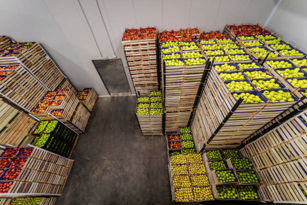 istock Apples and pears in crates ready for shipping. Cold storage interior. 1300328462