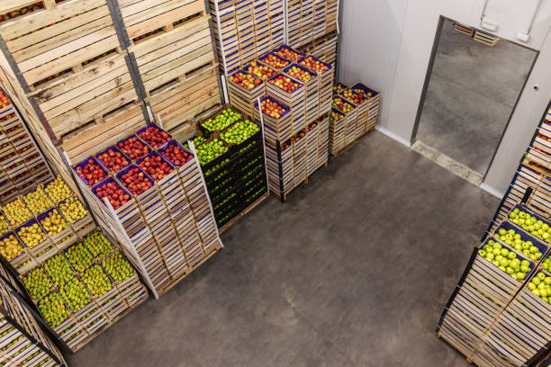 istock Apples and pears in crates ready for shipping. Cold storage interior. 1300328507