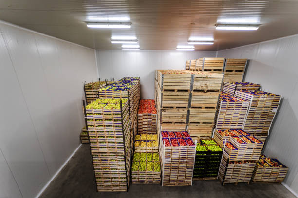 istock Apples and pears in crates ready for shipping. Cold storage interior. 1300328550
