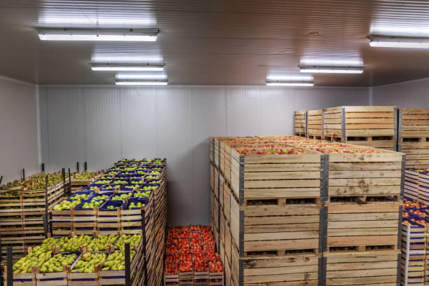 istock Apples and pears in crates ready for shipping. Cold storage interior. 1300328633