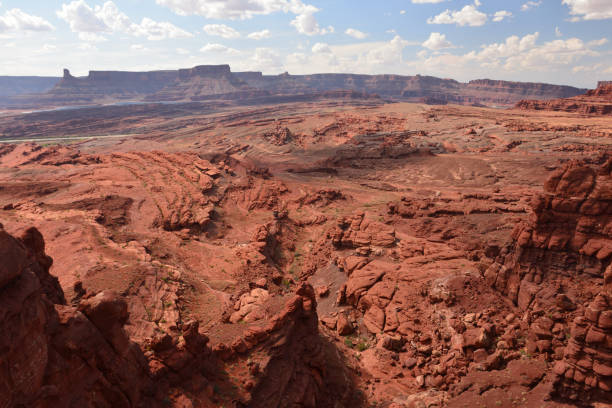 istock Red rocks in Canyonlands National Park Utah 1300328710
