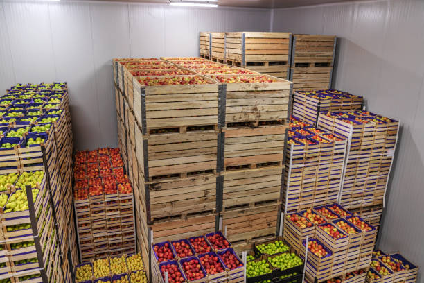 istock Apples and pears in crates ready for shipping. Cold storage interior. 1300328757